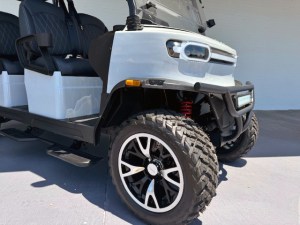 Teko Trophy 4 Plus 2 Limo Golf Cart 03
